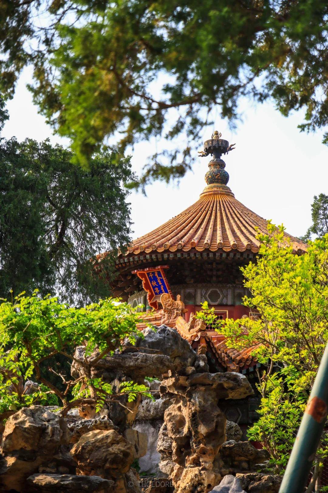 谱的私人定制旅游简直是遛娃宝藏！新葡京娱乐城小团出游就选这些靠(图2)