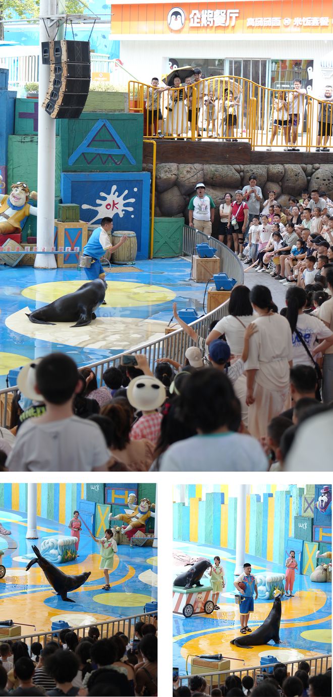 错过这场精彩的“极地探险”！新葡京会耍｜从海洋到陆地别(图6)