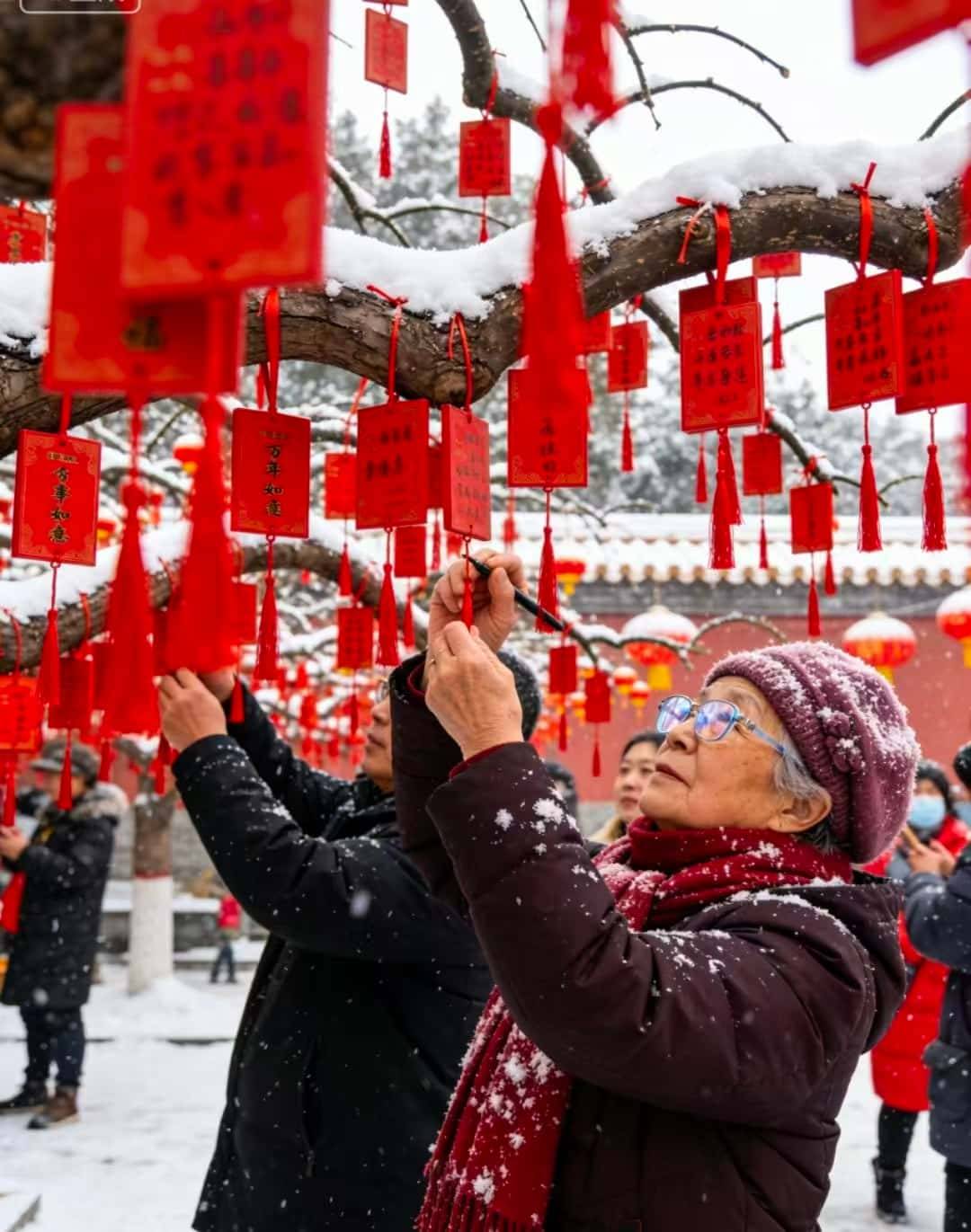 宫 + 国家博物馆深度游 靠谱避坑 + 高端服务推荐新葡京亲测北京五天四晚奢华游！北京东方君悦大酒店 故(图1)