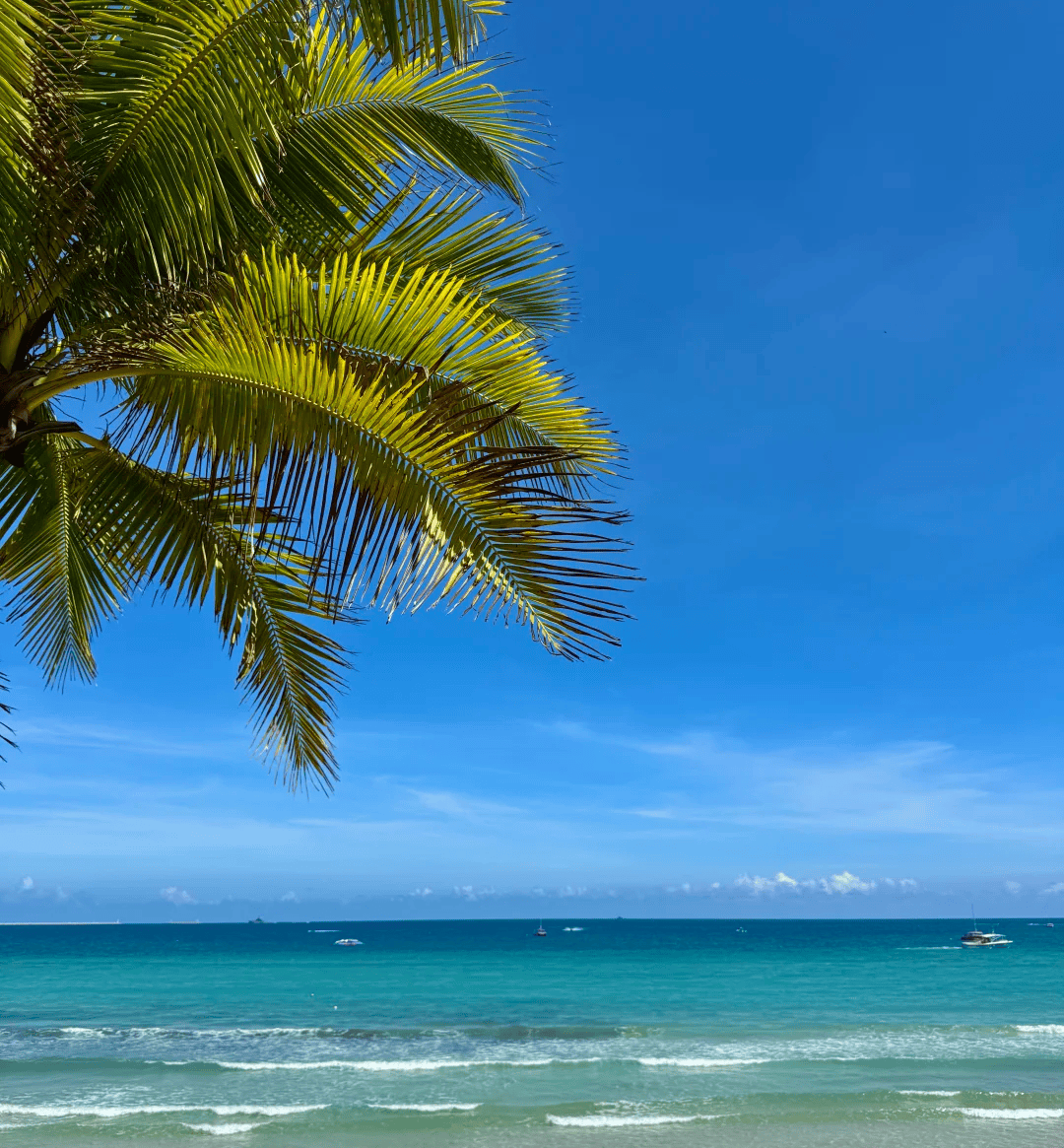 个性化自由行路线定制预算党也能玩出高品质澳门新葡京app过年三亚旅游攻略自由行(图2)